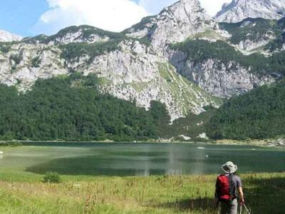 NP Sutjeska jača svoje kapacitete: Slijedi izgradnja osmatračnica