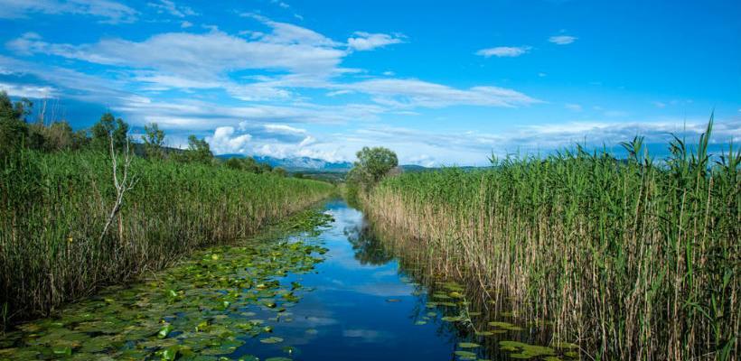 Za sanaciju posljedica požara u Hutovom blatu 250.000 KM