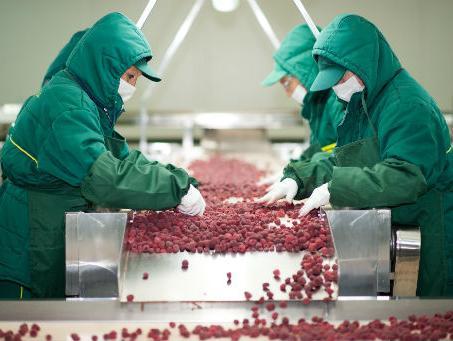 Poziv za odabir korisnika Programa potpore sektora prerađivačke industrije