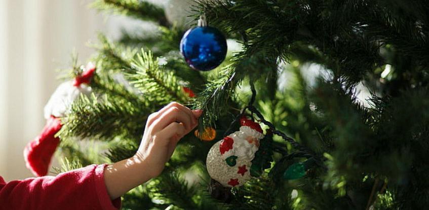 Kampanja "Pjevaju šume" - Koristiti plastične jelke i čuvati šumsko blago