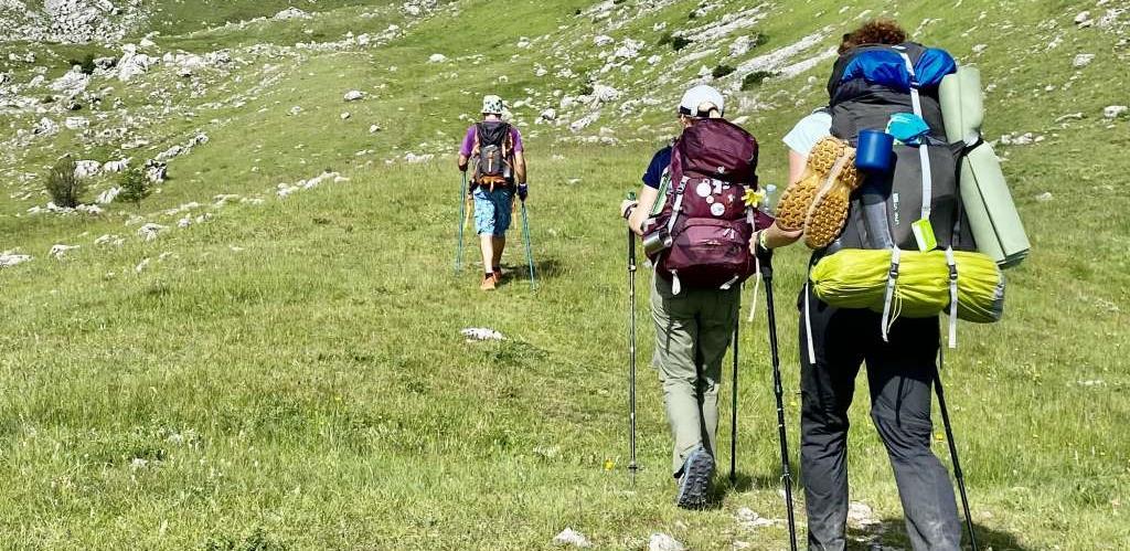 via dinarica