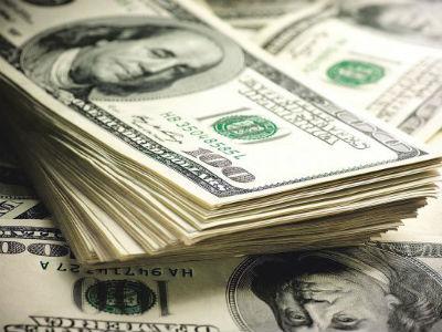 Šumama Srbije 3,2 miliona američkih dolara subvencije od strane GEF-a