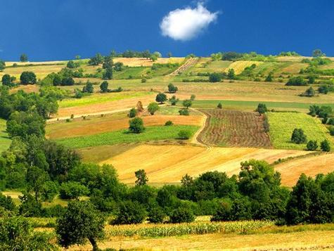 Izrada programa ruralnog razvoja FBiH 2013 - 2020. u završnoj fazi
