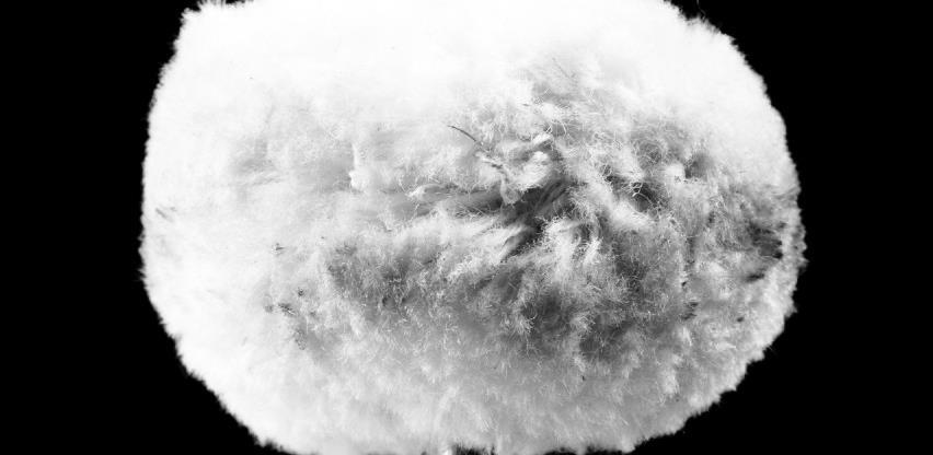 Učestvujte na Europskom danu vune