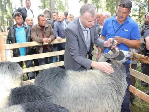 Lijanović: Riješiti izvoz domaćih proizvoda