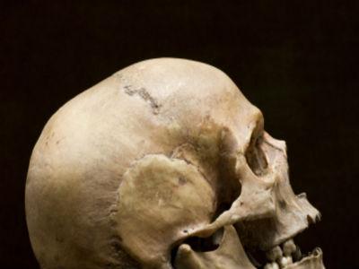 Znanstvenici pronašli najstariji dokaz ljudskog nasilja