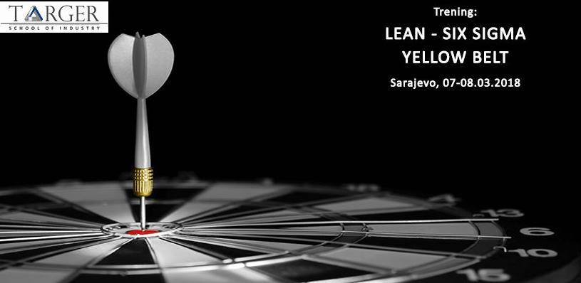 Lean - Six Sigma Targer Engineering & Consulting usluge