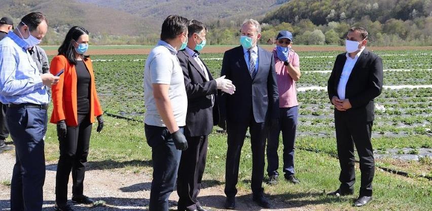 Agro ideja planira proizvodnju kiselog voća i povrća za bh. i švicarsko tržište
