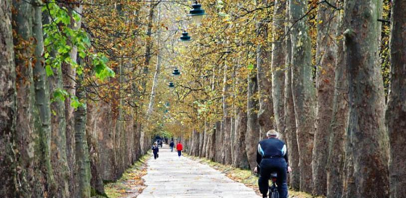 Za sanaciju Velike aleje na Ilidži izdvojeno 150.000 maraka