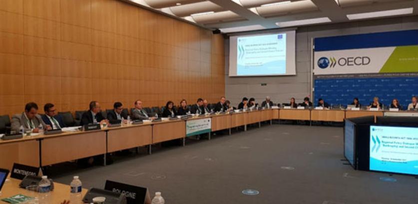 Stečajevi i politike druge šanse kroz OECD projekat