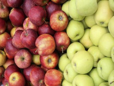 Negodovanje u EU zbog sankcija Rusiji