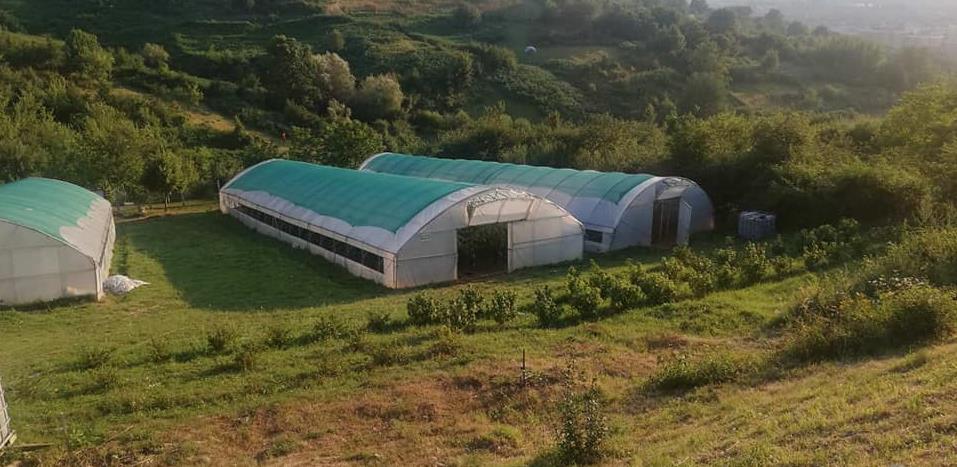 Poljoprivredni poligon na Mojmilu udvostručio proizvodnju