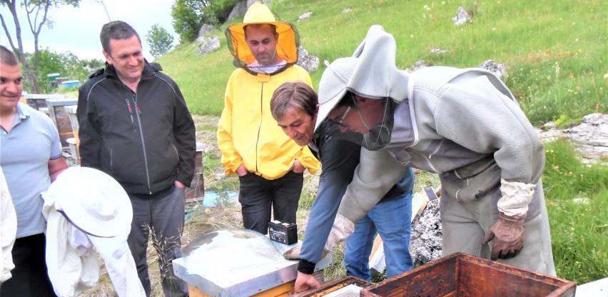 Bh. pčelari počinju sa proizvodnjom pčelinjeg otrova, cijena 40.000 KM po kg