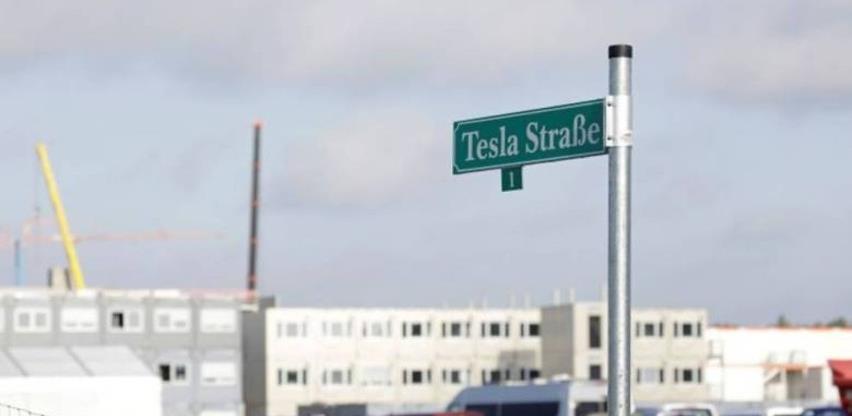 Zmije zaustavile gradnju Tesline fabrike kod Berlina