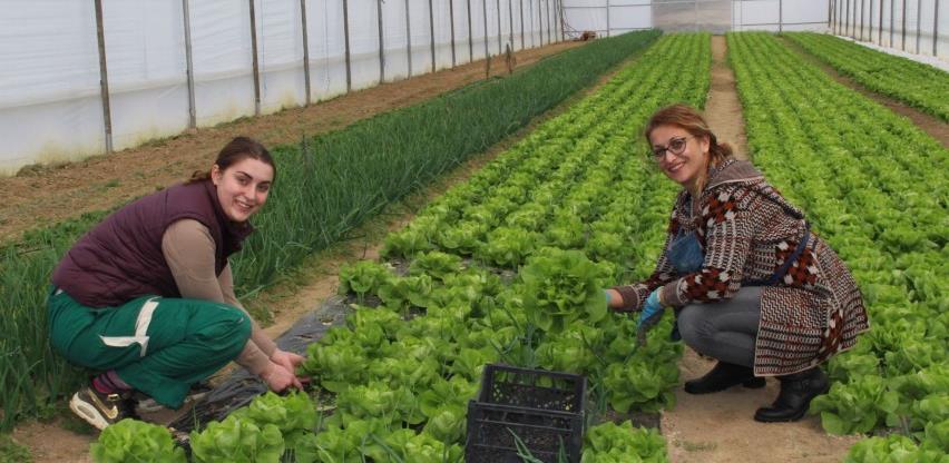 Priča o Hazimi Topčagić: Organska humanost u doba korone