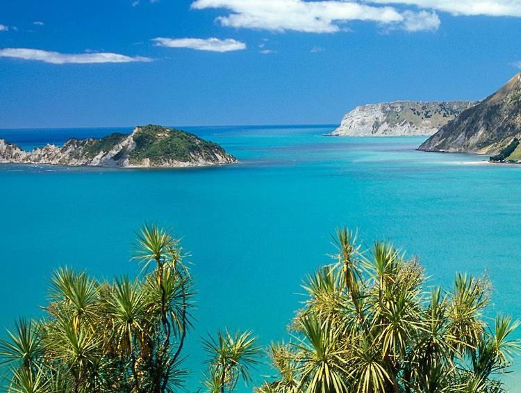 Novi Zeland traži 50.000 radnika