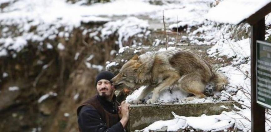 Neobična priča o monahu i vučici