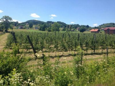 Za podršku razvoju ruralnog područja opštine Teslić 65.000 maraka