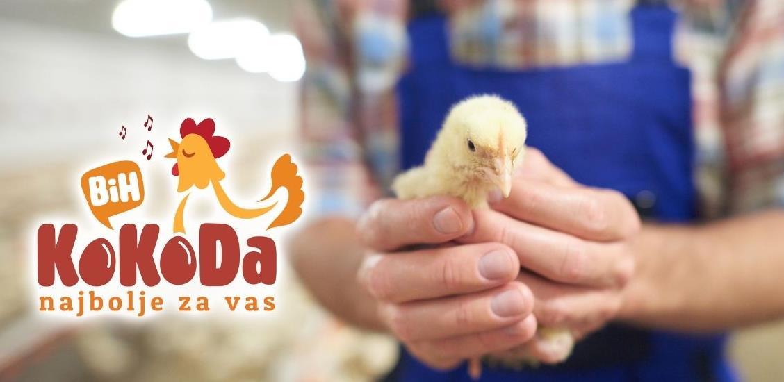 Koordinacioni odbor peradara/živinara BiH pokreće Facebook stranicu KoKoDa BiH