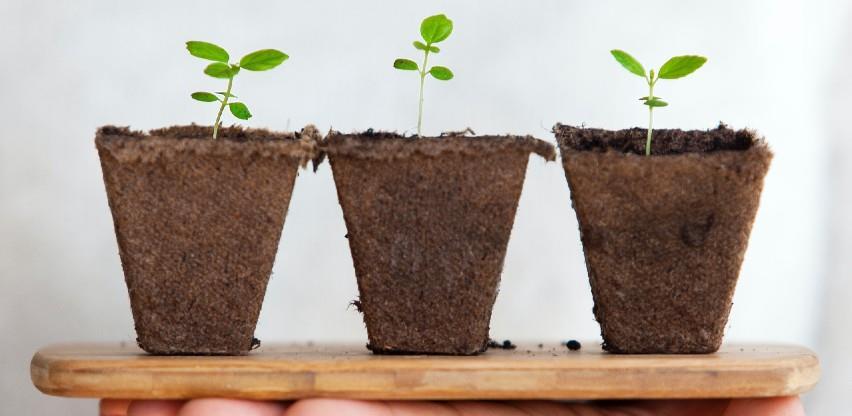 Za program zaštite biljaka u RS godišnje se izdvoji 500.000KM