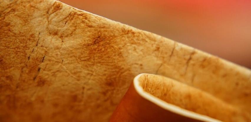 Materijal budućnosti, koža od gljiva