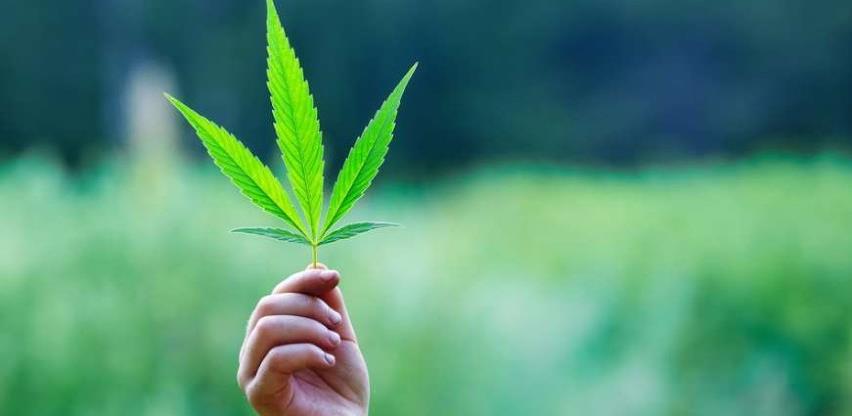 Makedonija legalizira marihuanu