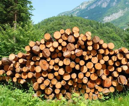 Od 1. marta nova pravila za izvoz bh. drvnih proizvoda u EU