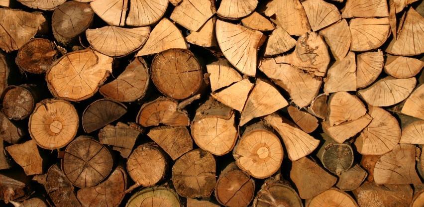U FBiH nastavljen trend smanjenja proizvodnje i prodaje šumskih sortimenata