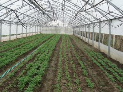 U toku isporuka plastenika koje sufinansira Grad Tuzla