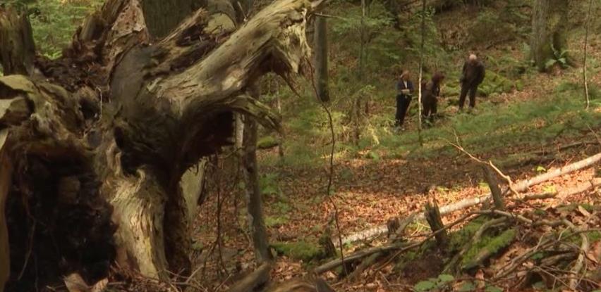 Prašuma Janj konačno dobila mjesto koje zaslužuje