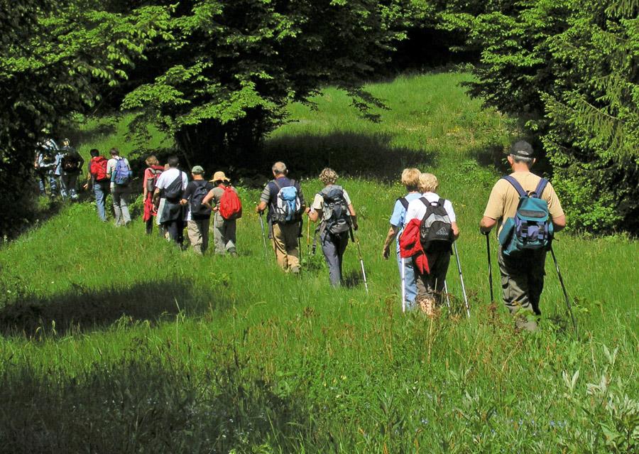 Planinarskim vodičima u BiH dodjeljeni međunarodni certifikati