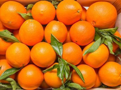 Moskva pred ukidanjem embarga za Grke, Kiprane i Mađare