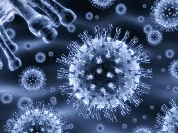 Matične ćelije primijenjene za liječenje AIDS-a