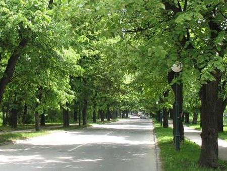 Vilsonovo šetalište prilagoditi građanima