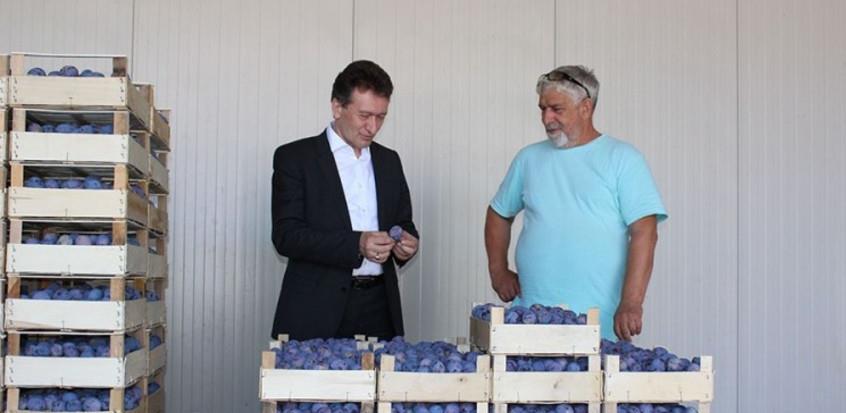 Izvoznici šljive u problemu zbog inspekcije na hrvatskoj granici