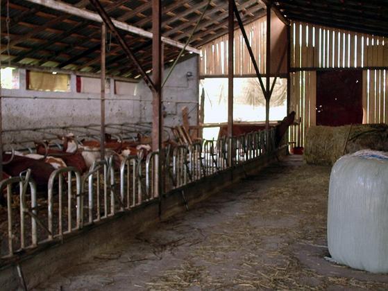 Farme u BiH ostaće prazne