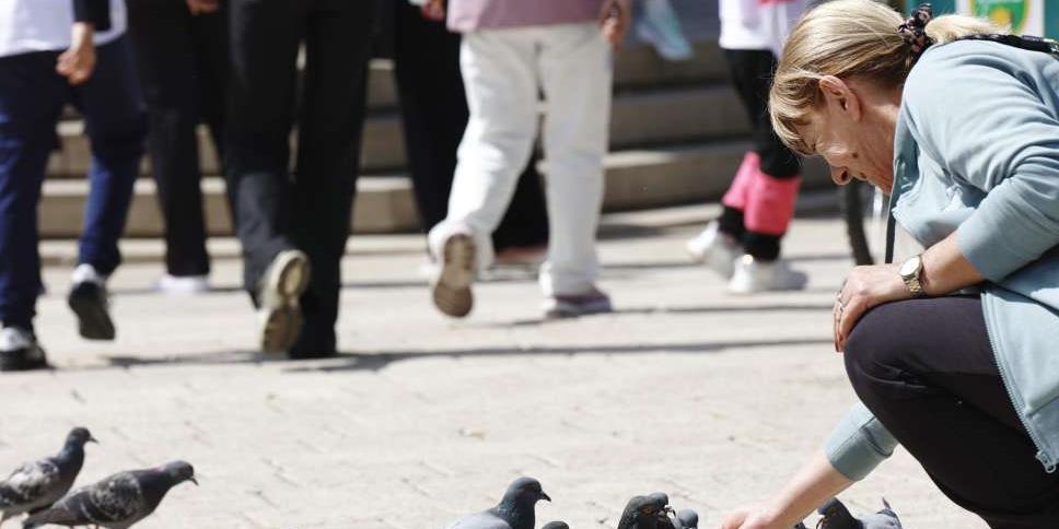 TURIZAM