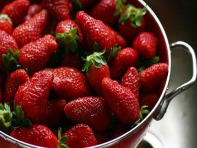 Konferencija "Proizvodnja i plasman jagodastog voća u BIH"