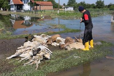 Unatoč dostupnim fondovima BiH bez postrojenja za termički tretman otpada
