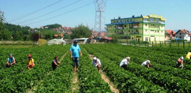 Oko milion KM za razvoj poljoprivrede u Banjaluci