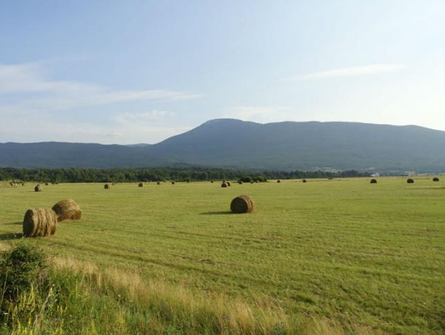 Kako je BiH ostala bez 635 miliona KM pomoći za ruralni razvoj