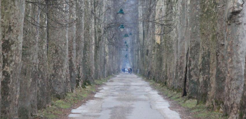 Direkcija za puteve i preduzeće "Rad" kreću sa obnovom Velike aleje