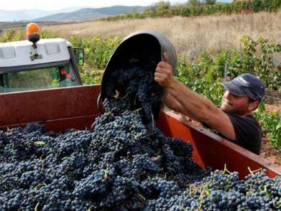 Ostavljen prostor za dogovor vinara