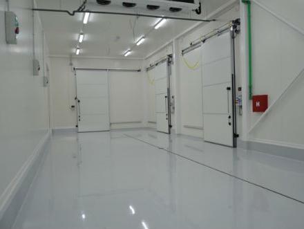 Delta Frost proizveo zamrznute maline u prvom IQF tunelu u BiH