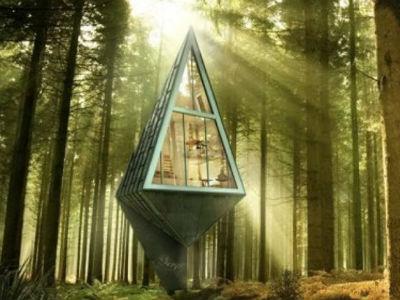 Primeval Symbiosis: Sve popularniji život u šumskim predgrađima