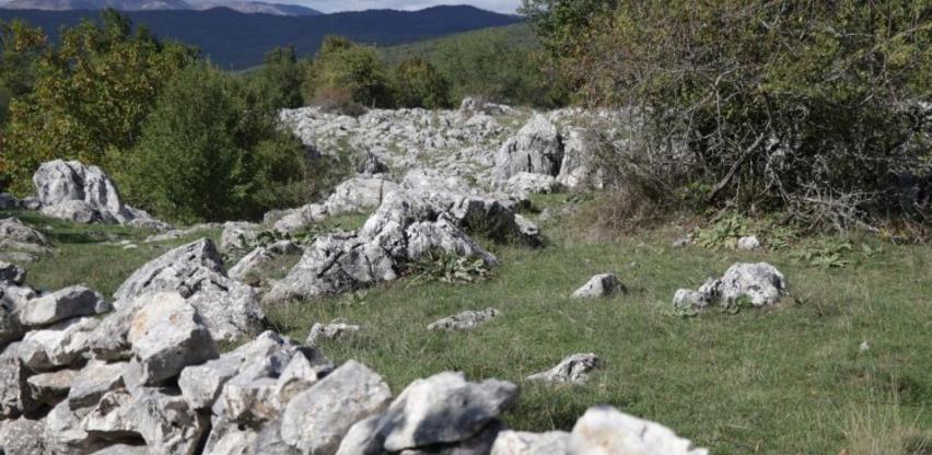 "Kamene livade" ograđene kamenom ogradom uobičajena praksa u Hercegovini