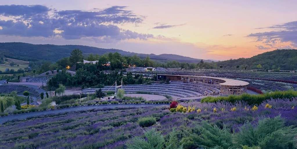 lavanda visoko