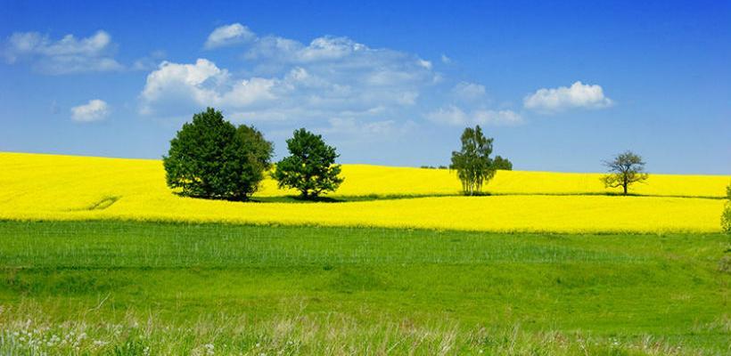 BiH i Crna Gora unapređuju saradnju kroz poljoprivredu i ruralni razvoj