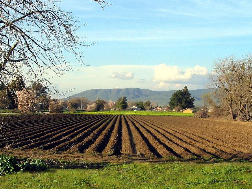 Poljoprivreda i regionalna saradnja jedino rješenje za izlaz iz krize