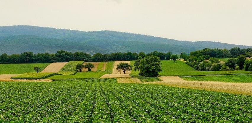 U projekt razvoja poljoprivrede i ruralnih preduzeća uključeno 90 bh. općina